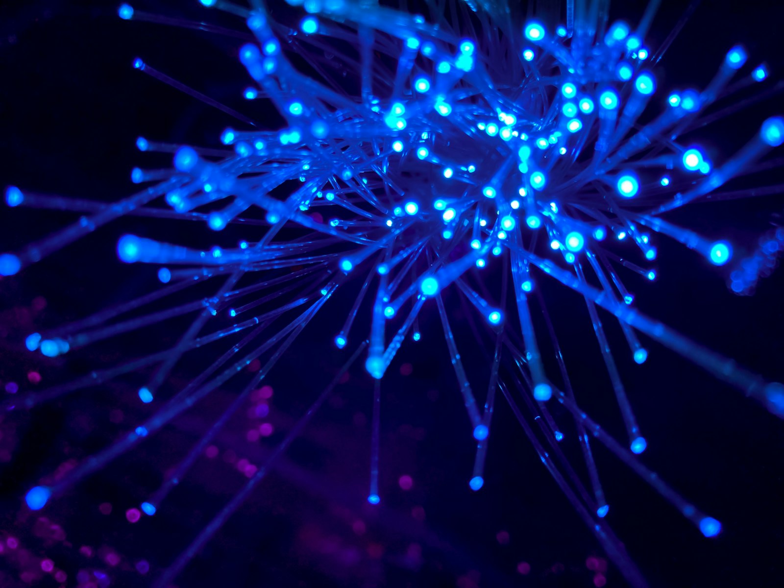 Ljusande fiberoptiska kablar